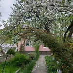 лаванда 亚列姆切
