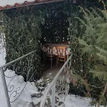 лаванда