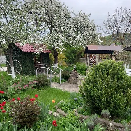 лаванда Apartment Yaremche