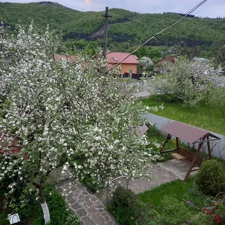 лаванда Lejlighed