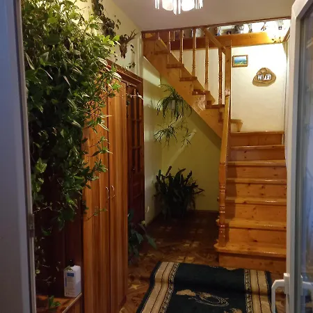 лаванда * Yaremche