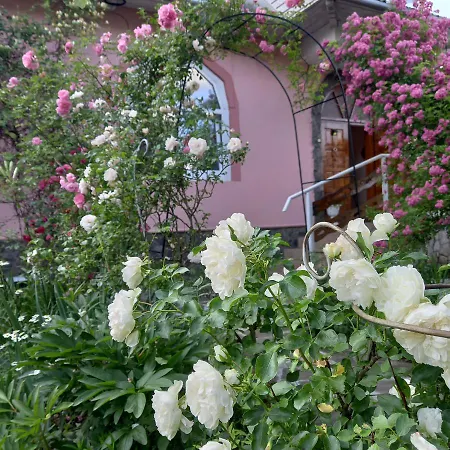 Lejlighed лаванда Yaremche