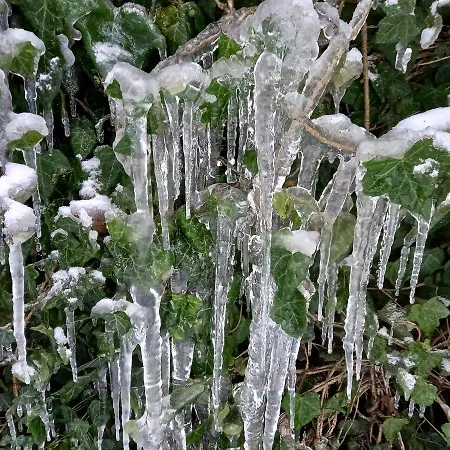Lejlighed лаванда Yaremche