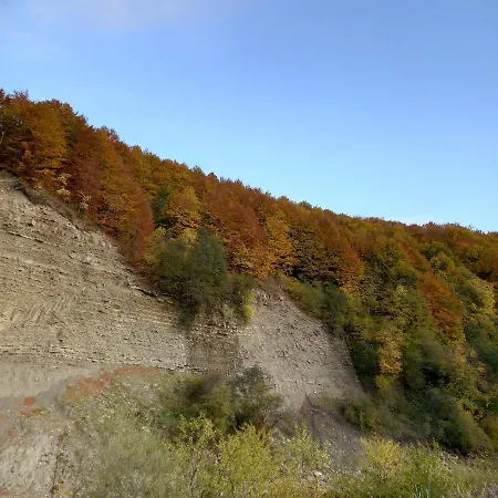 Lejlighed лаванда