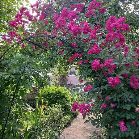 Lejlighed лаванда *