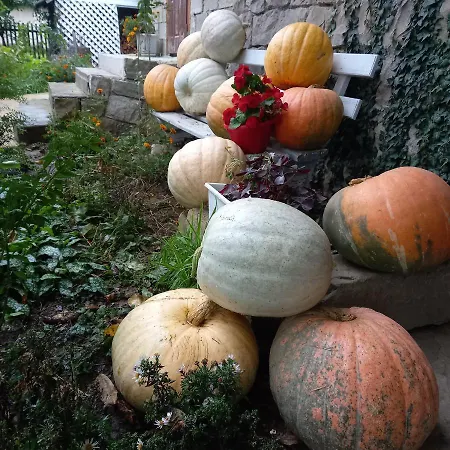 лаванда Appartamento Jaremče