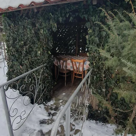 лаванда